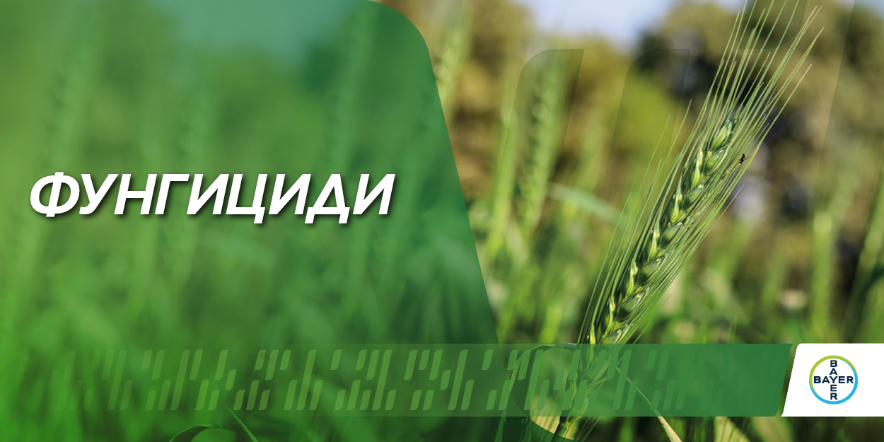 Банер Фунгициди